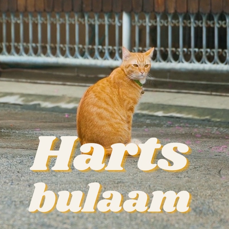 /