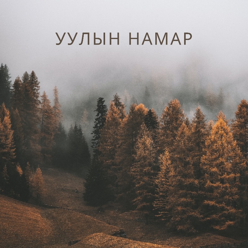 /